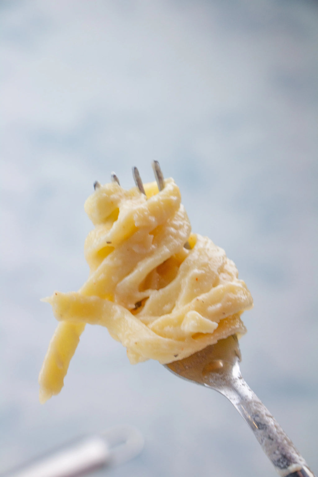 Pasta Fettuccine Alfredo Congelados