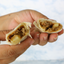 Burritos Picadillo