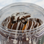 Bote Pretzels con Chocolate